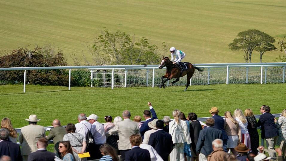 Horse racing at Goodwood